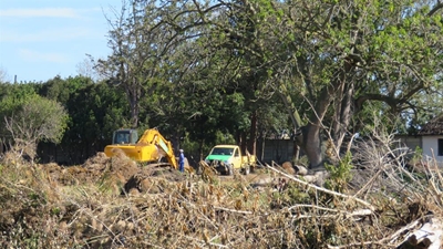 Old crocodile farm: Hopes for heronry bulldozed