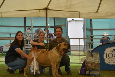 Riversdal-skou bied iets vir almal