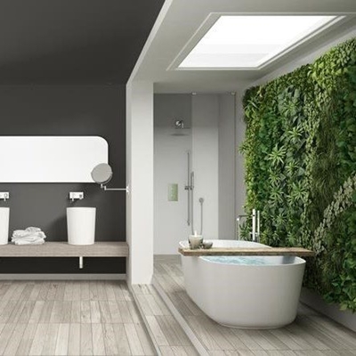 Writer shares ideas on indoor greenery indoors