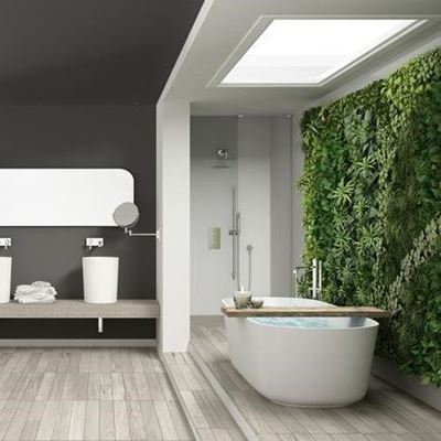 Writer shares ideas on indoor greenery indoors