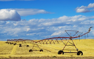 Land Expropriation Bill: Have your say