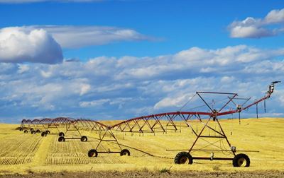 Land Expropriation Bill: Have your say