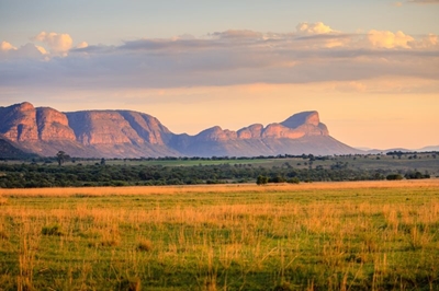 Our top 5 safari spots in South Africa