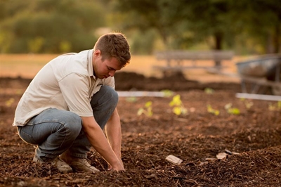 6 garden updates to do this winter
