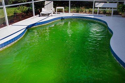 Remedy your green pool