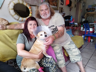 Groot Brakkers help om Trixie te vind