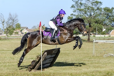 More than meets the eye at horse shows