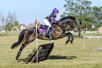 More than meets the eye at horse shows