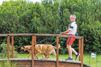 Leash up or lose out on forest