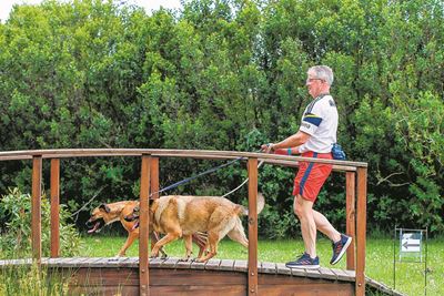 Leash up or lose out on forest