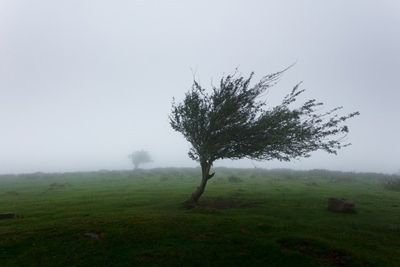 5000 illegal structures battered by WC storm; 6300 people affected 