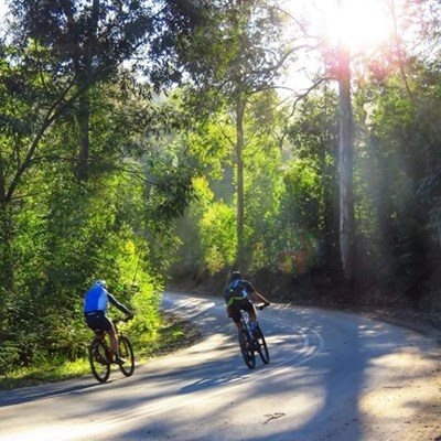 Knysna's forests and peaks alive with singing spokes