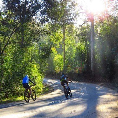 Knysna's forests and peaks alive with singing spokes