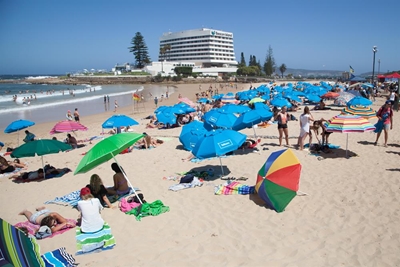 Plett on an award-winning roll