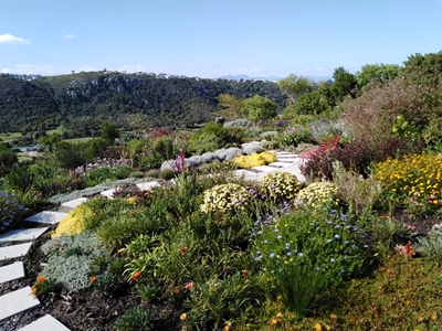 Open Gardens celebrate 10 years
