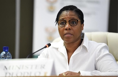 DA wants intelligence report into SA riots to be made public