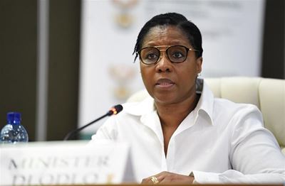 DA wants intelligence report into SA riots to be made public