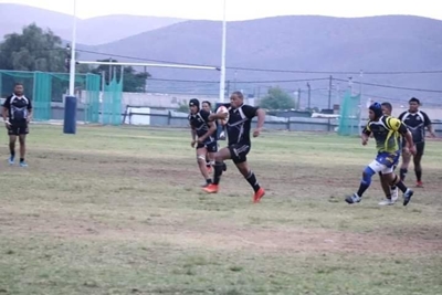 All Blacks knip Seagulls se vlerke