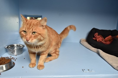 Lonely Fred looking for loving home