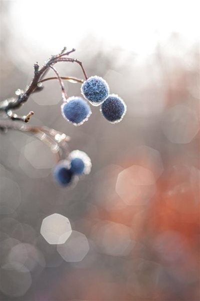 A cold Saturday expected in parts of Western Cape