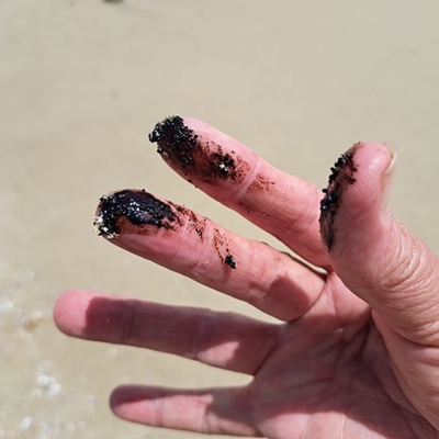 Mosselbaai strande sluit na oliestorting