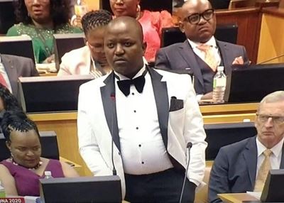 Boy Mamabolo apologises to Malema for ‘false’ abuse allegations