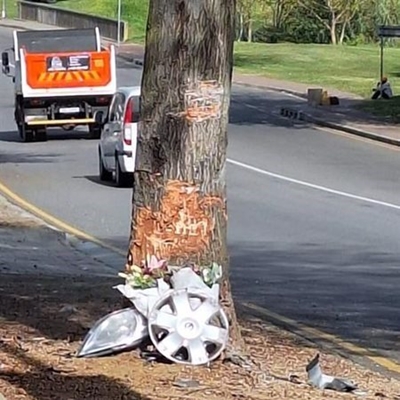 CJ Langenhoven crash claims 2 young lives