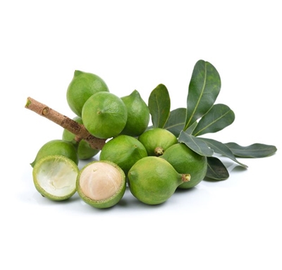 China’s demand for macadamias boosts local production
