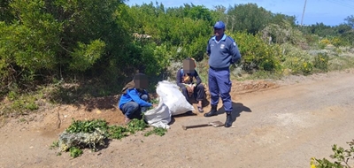 Two people found with plants, bulbs