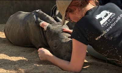 Four cops, two kingpins bust in major rhino poaching breakthrough