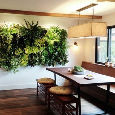 Ungkarl hellig antydning Creative ways to bring nature indoors | Mossel Bay Advertiser
