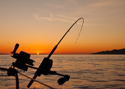 Overfishing threatens North Coast fish stocks