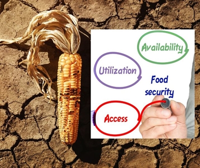 Food security to form part of G20 Agriculture Working Group deliberations