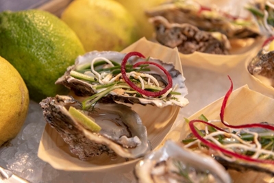 Dedicated coordinator appointed for Oyster Fest