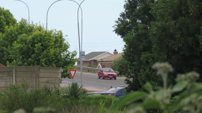 No plans hatched for Crocodile Farm
