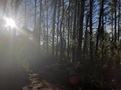 Female hikers attacked and robbed
