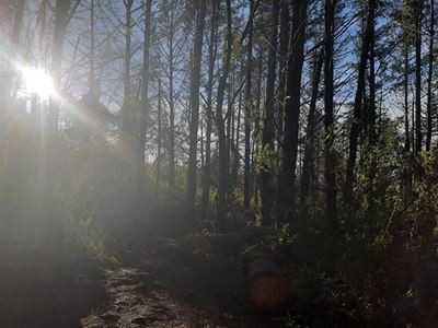 Female hikers attacked and robbed