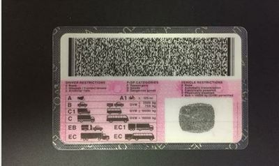 Expect delays when applying for driver’s licences: SA’s only card printer still broken