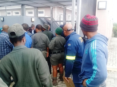 48 Plett 'perlemoen' poaching suspects appear in court