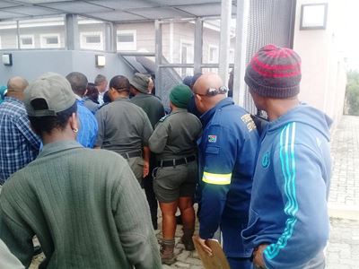 48 Plett 'perlemoen' poaching suspects appear in court