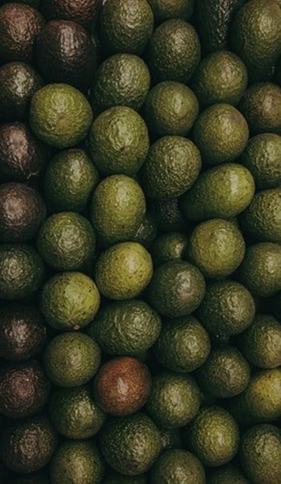 SA avocado exports to European market under pressure