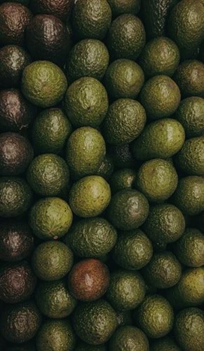 SA avocado exports to European market under pressure