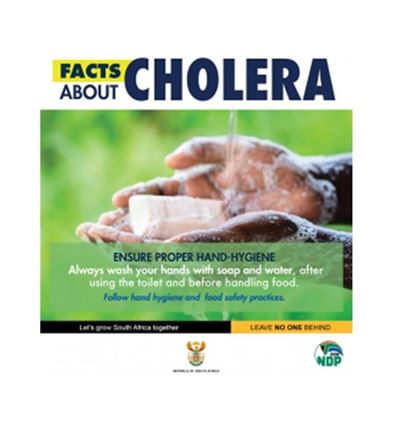 Cholera death toll in SA rises to 43