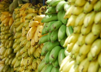 Virus sparks boom for local farmers in import-dependent Hong Kong