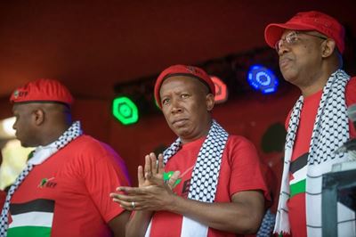 We don’t want to expropriate your house, says EFF document