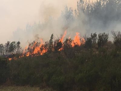 Brandweer voorkom ramp in Fernridge