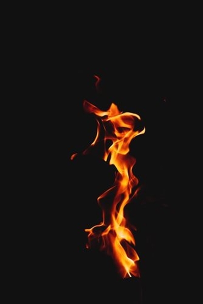 Vegetation fire at Ruiterbos