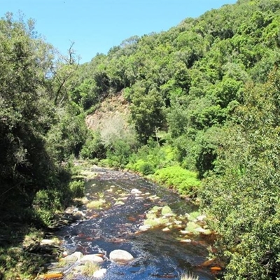Do you know how Wilderness Heights and Hoekwil became settled?