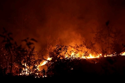 More fires flare up in Amazon 