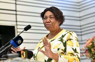 Less than 20% of SA’s grade 4 pupils can read for meaning, minister blames Covid